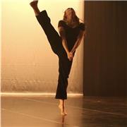 Envie d’apprendre la danse ? Je peux vous enseigner les fondamentaux jazz et classique.  
Je peux vous aider à préparer des concours de danse, l’EAT ( examen d aptitude technique ou bien  vous faire travailler sur des thématiques que vous souhaiter abord